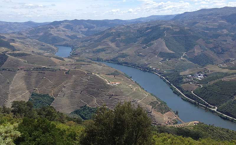 Vinhos no Rio Douro