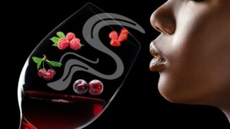 Química! A mágica dos aromas dos vinhos