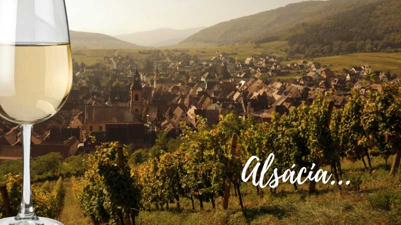 Alsácia (França) e seus vinhos