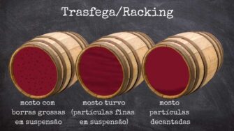 Trasfega ou racking: saiba mais sobre este delicado processo na produção do vinho