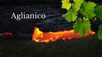 A Basilicata e os incríveis vinhos feitos da uva Aglianico!