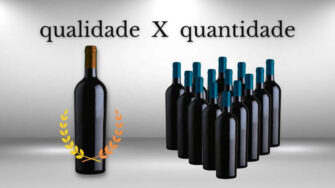 Vinhos de qualidade vs. vinhos de quantidade